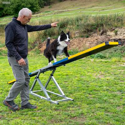 Full view of a blue and yellow Callieway Wippe Vario dog seesaw