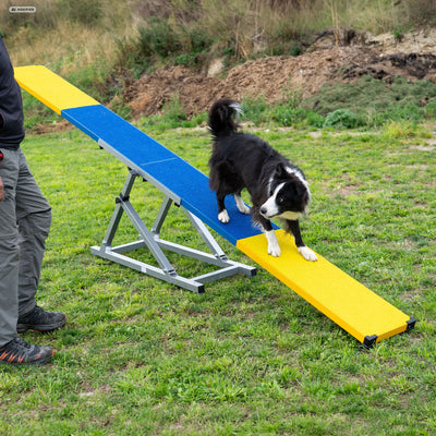 Blue and yellow Callieway Wippe Vario dog seesaw set up on grass