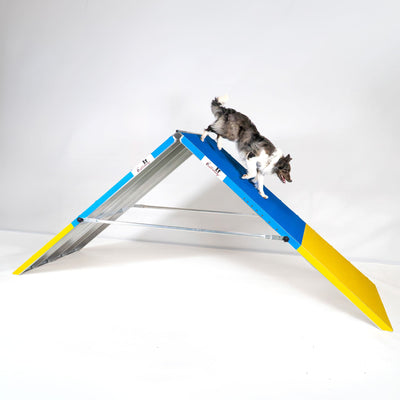 NEU 2026: Agility A-Wand „SkyStep" – FCI-konform, Soft & rutschfest - FCI Competition Grade | Callieway®