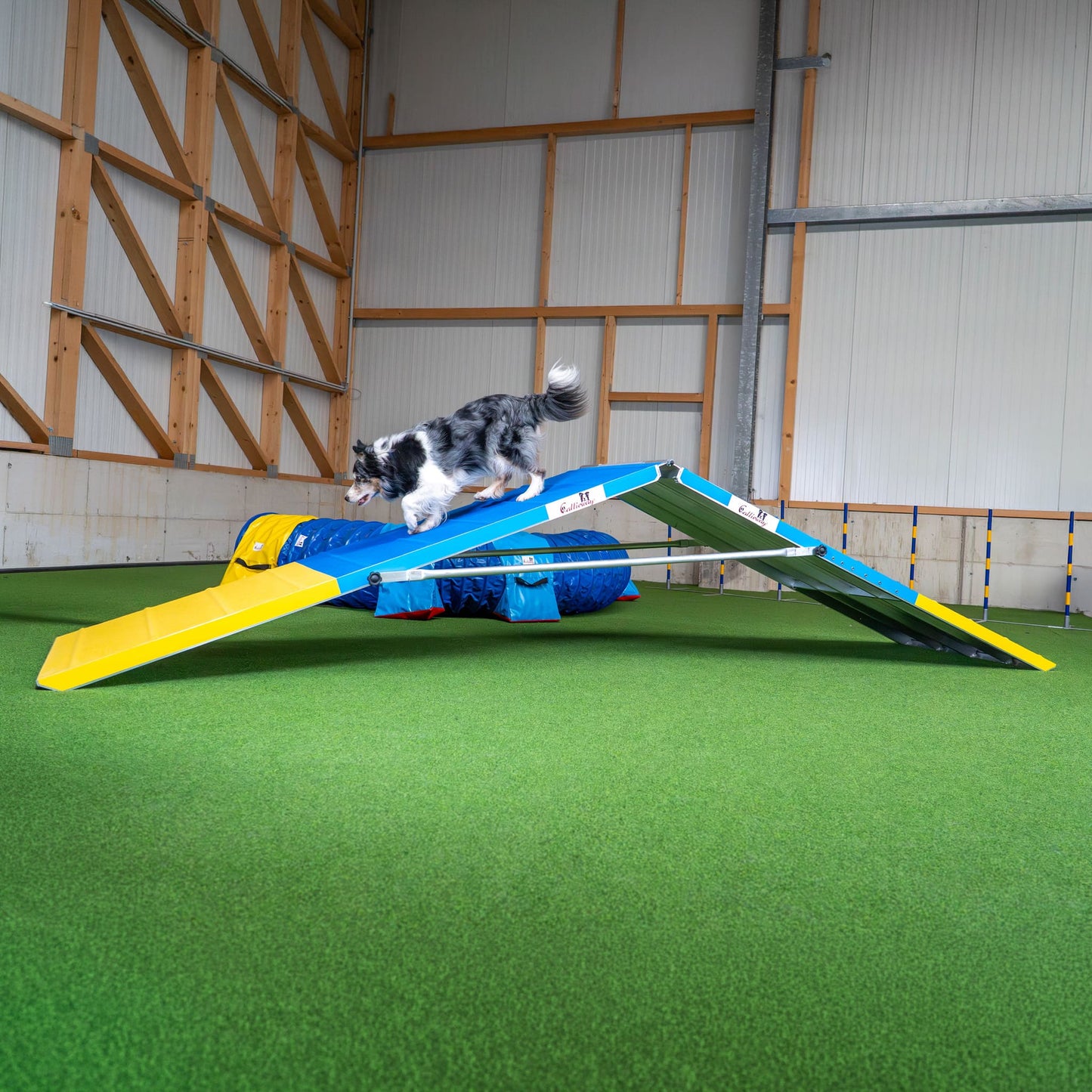 Callieway Agility A-Wand aufgebaut im Parcours