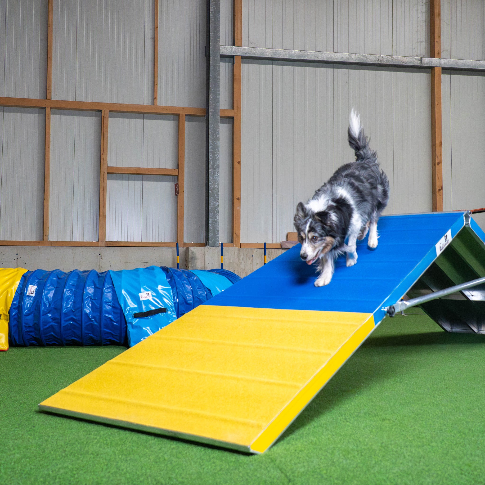 Callieway Agility A-Wand im Agility Parcours