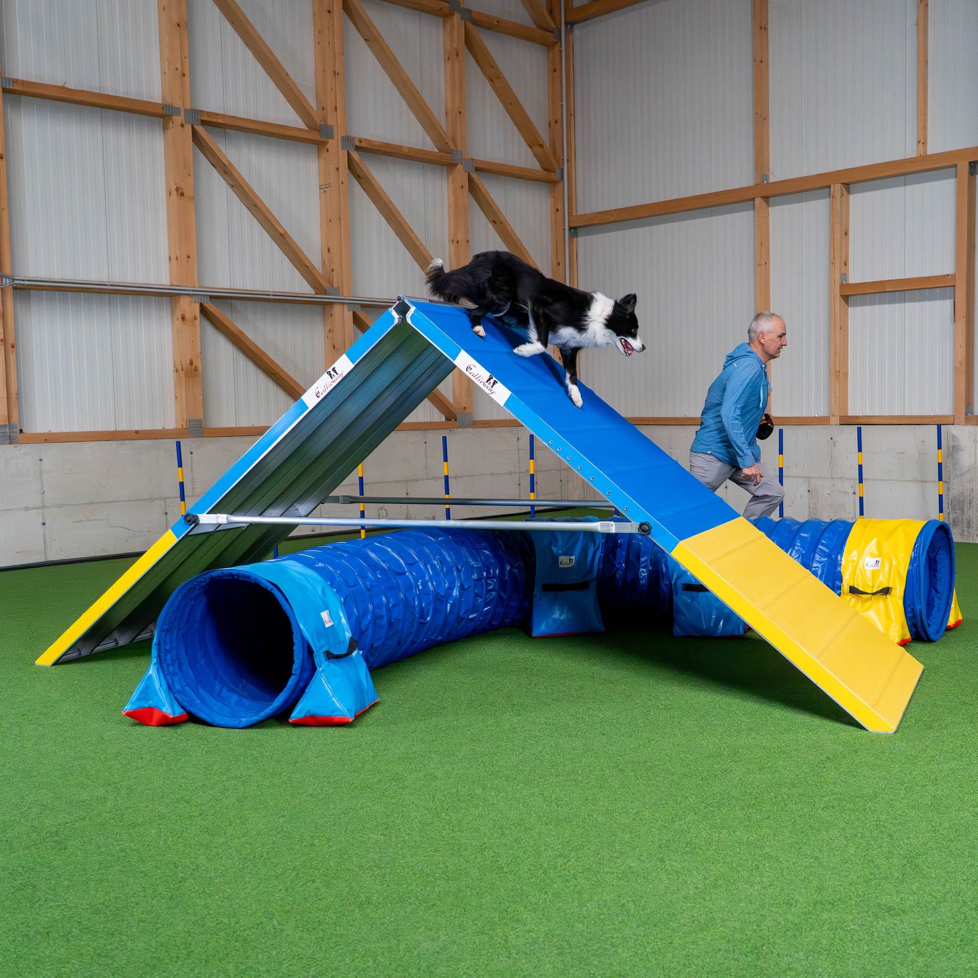 Callieway Agility A-Wand im Trainingsparcours