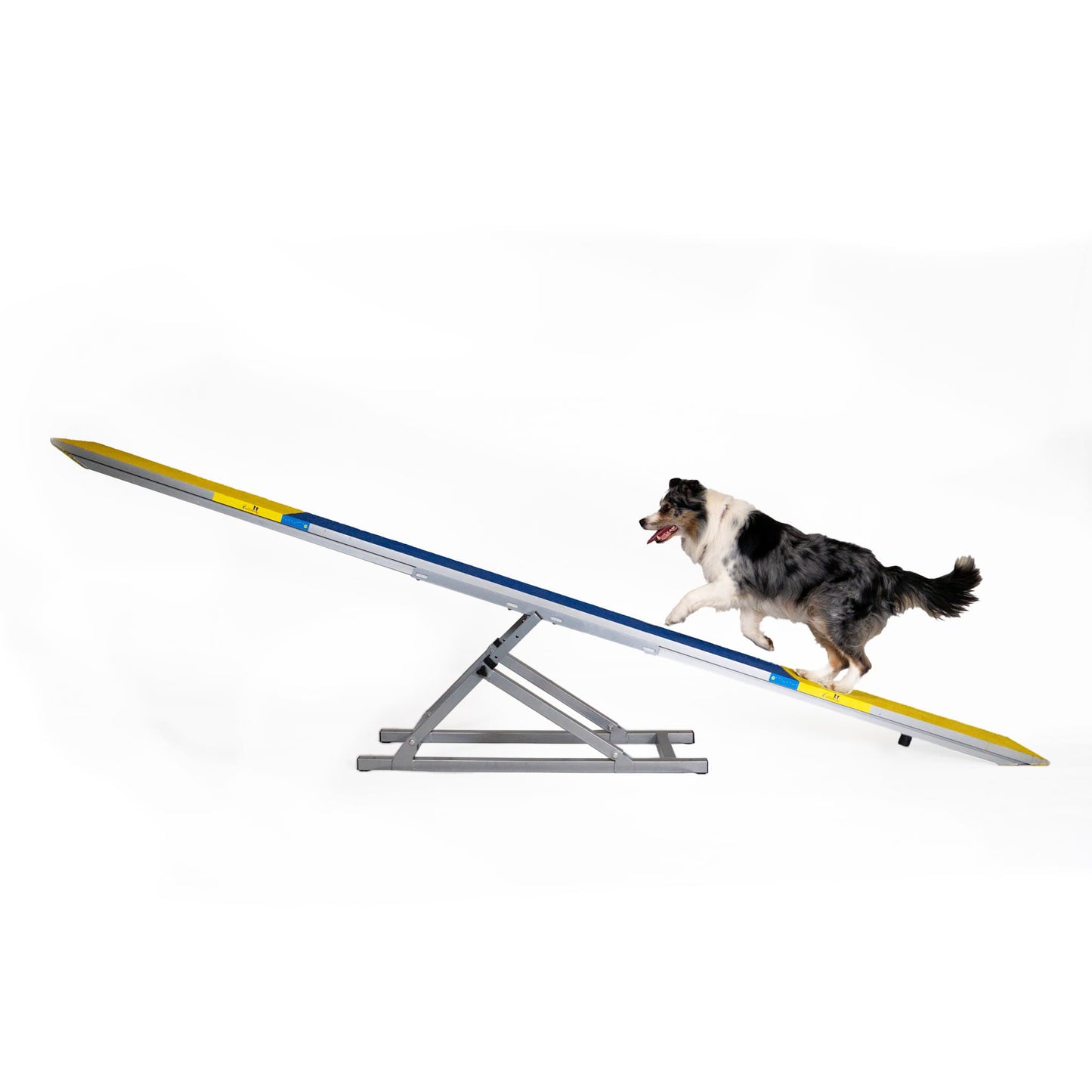 ALU Agility Hundewippe (Turnier)