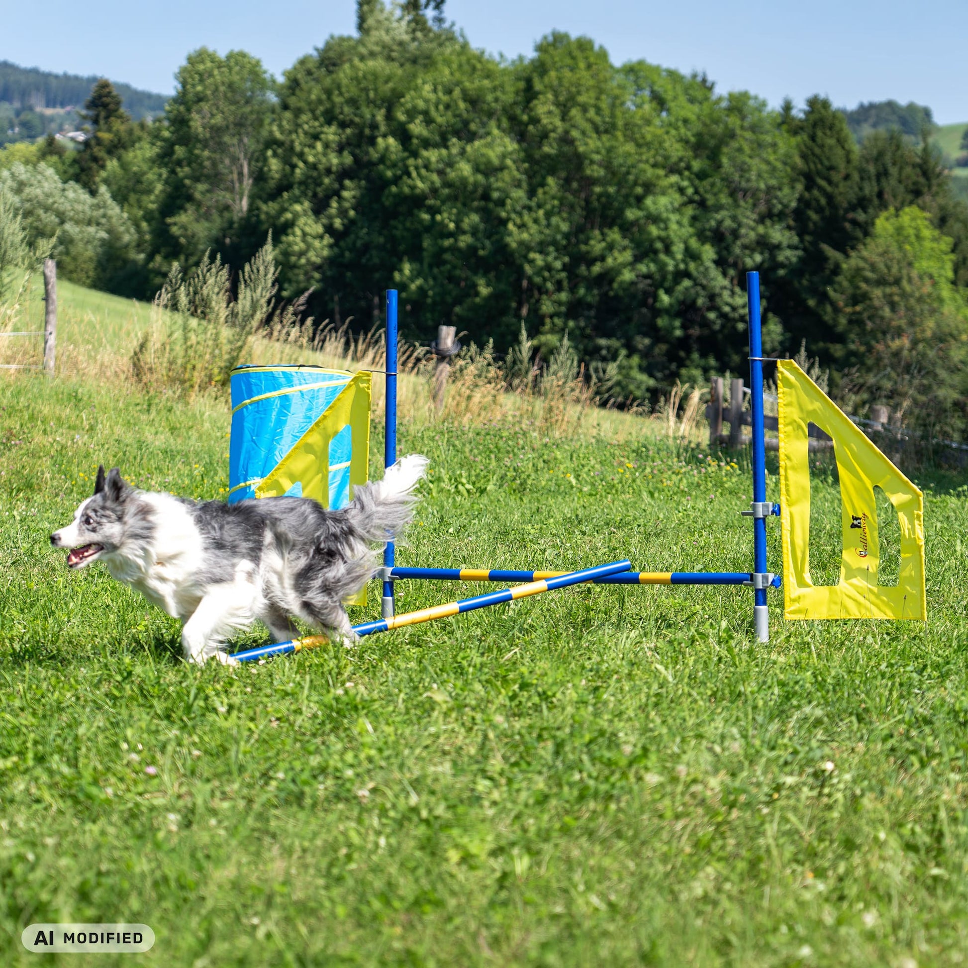 Callieway_Agility_Fun_Hurdle Dog drops a bar