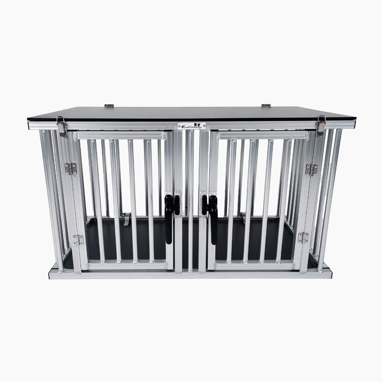 Callieway Agility Training in der Hundesporthalle