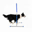 Profi Hoopers ALU Agility Hoops – Großpackung | NADAC-konform (ohne Mittelstrebe)
