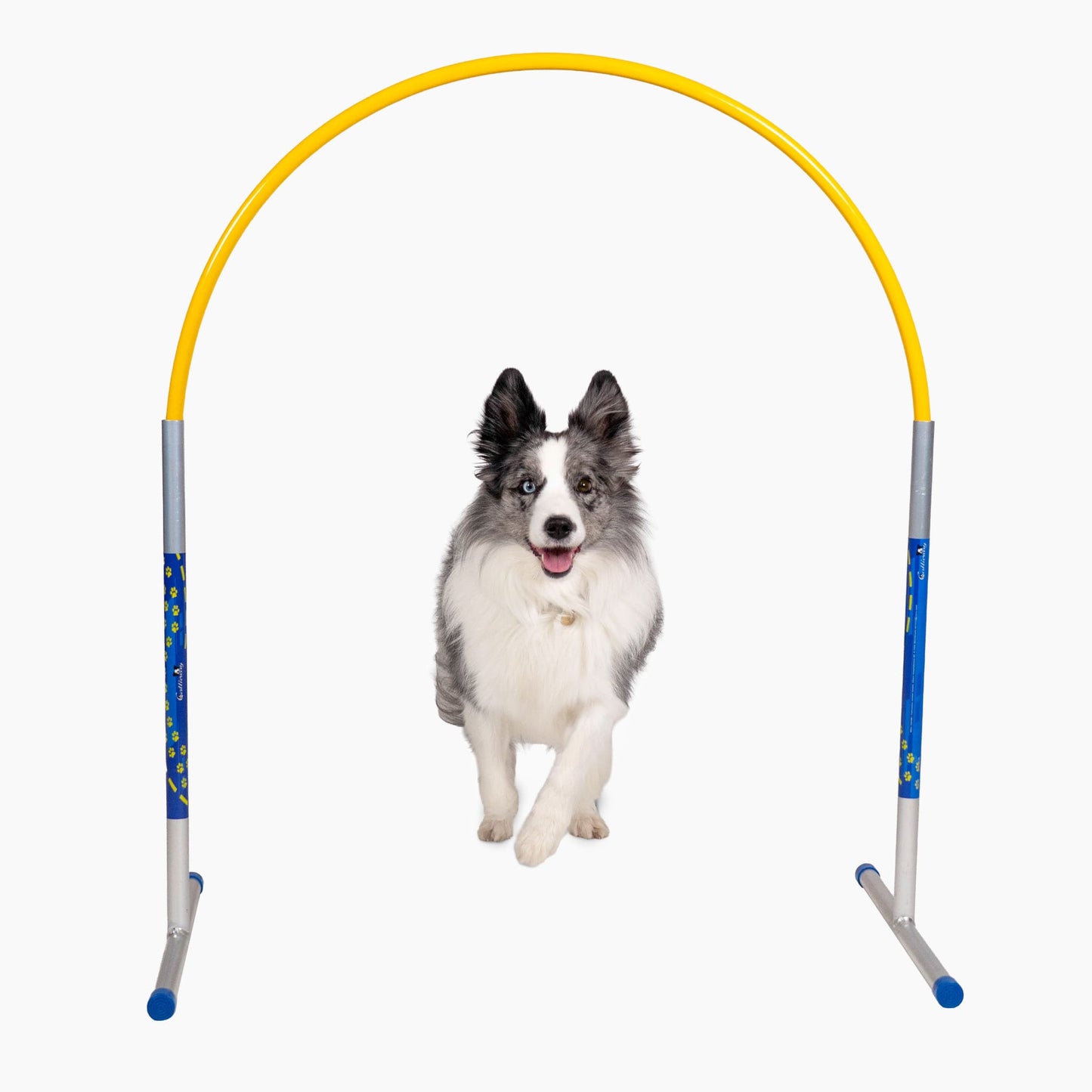 Profi Hoopers ALU Agility Hoops | für Turniere regelkonform (ohne Mittelstrebe)