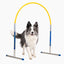 Profi Hoopers ALU Agility Hoops | für Turniere regelkonform (ohne Mittelstrebe)