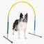 Profi Hoopers ALU Agility Hoops | für Turniere regelkonform (ohne Mittelstrebe)