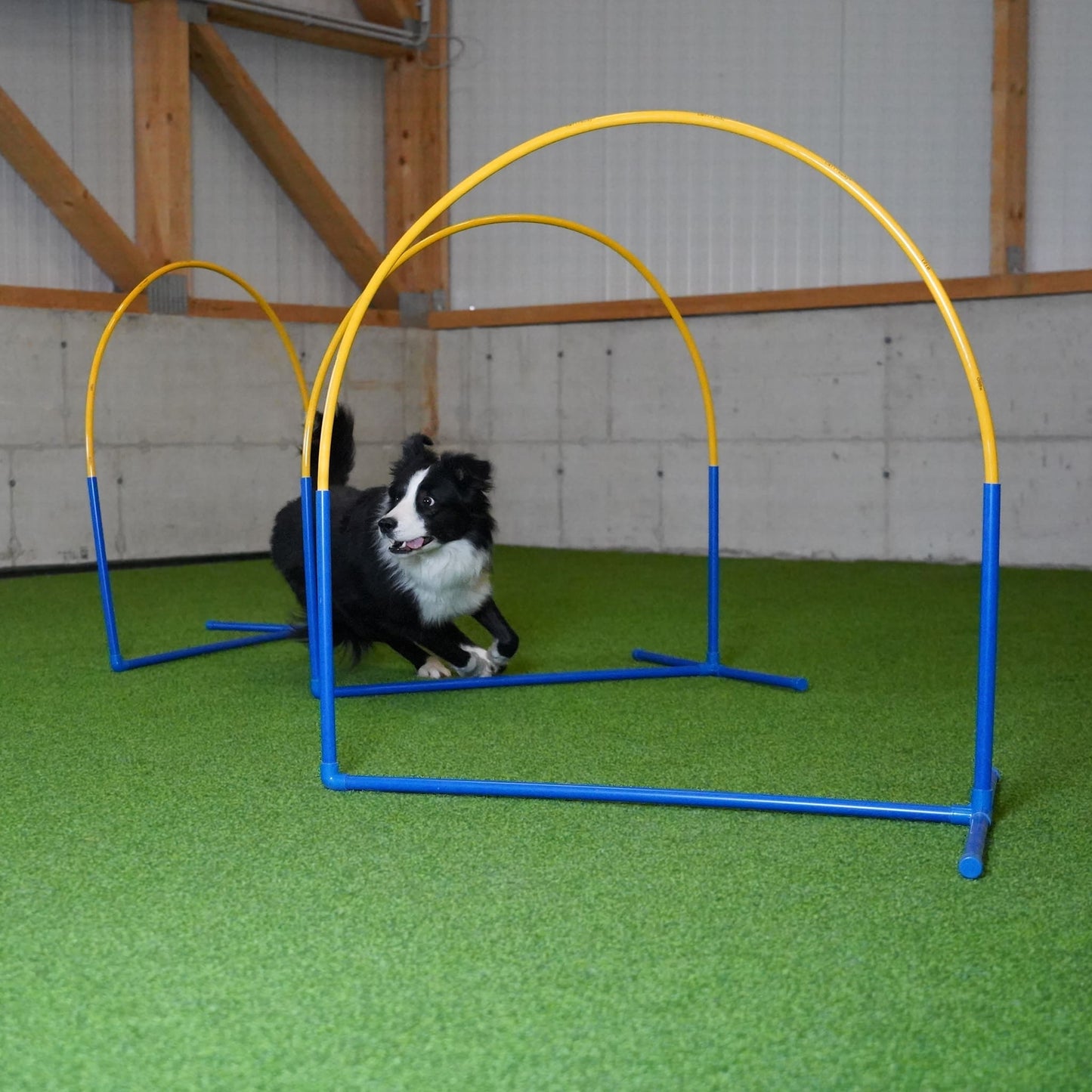 Hoopers Fun Hoops (mit Mittelstrebe) – NADAC-konform
