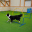 Hoopers Fun Hoops (mit Mittelstrebe) – NADAC-konform
