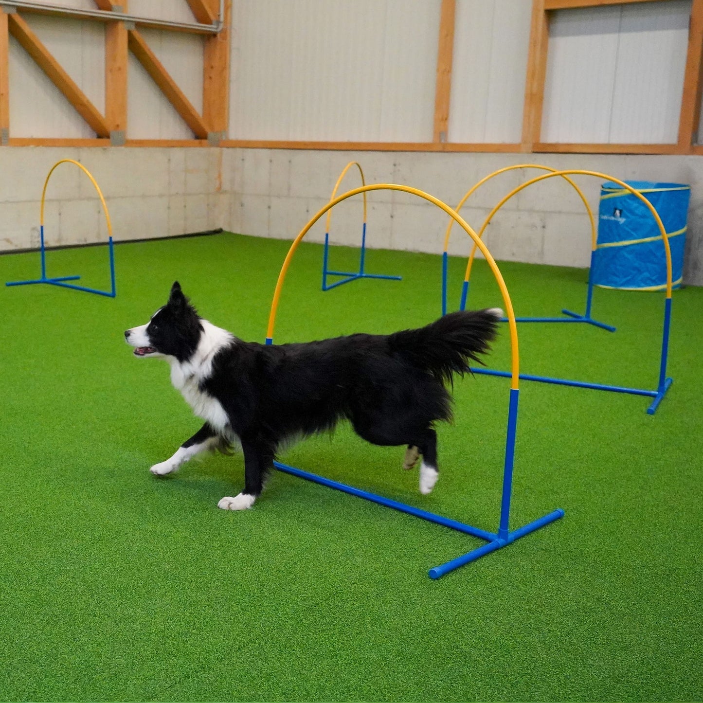 Hoopers Fun Hoops (mit Mittelstrebe) – NADAC-konform