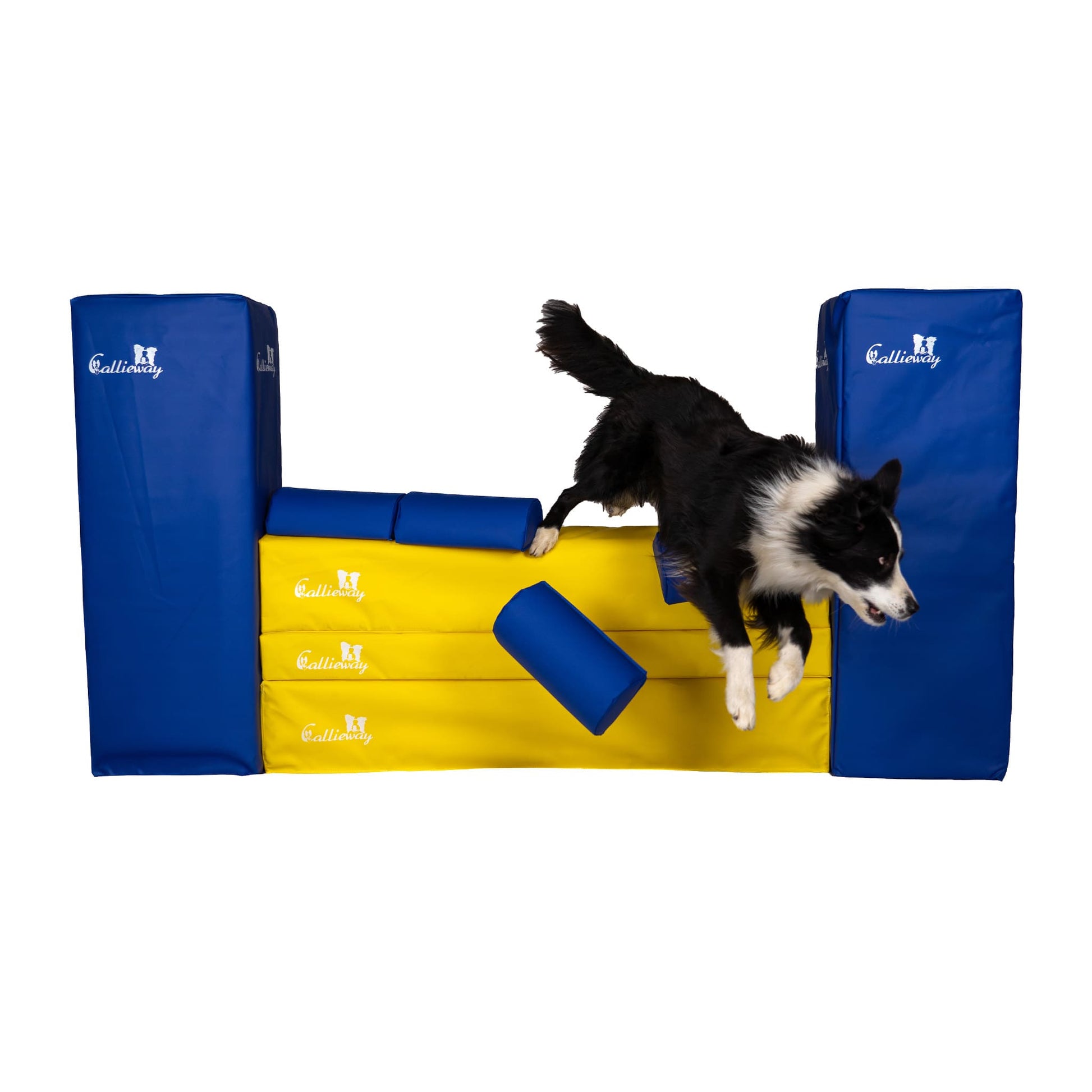 Callieway Agility Mauer Hindernis Gelb Blau