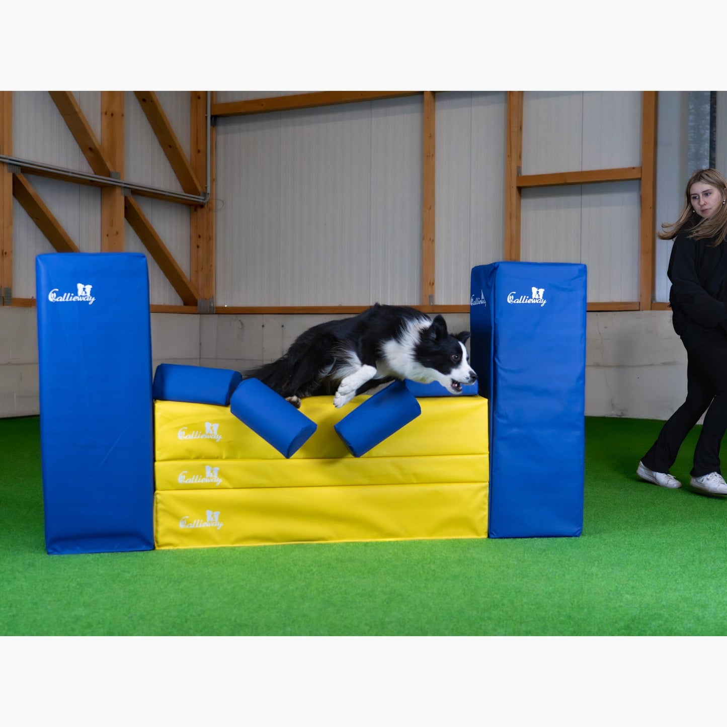 Callieway Agility Mauer Hindernis Gelb Blau im Agility Parcours