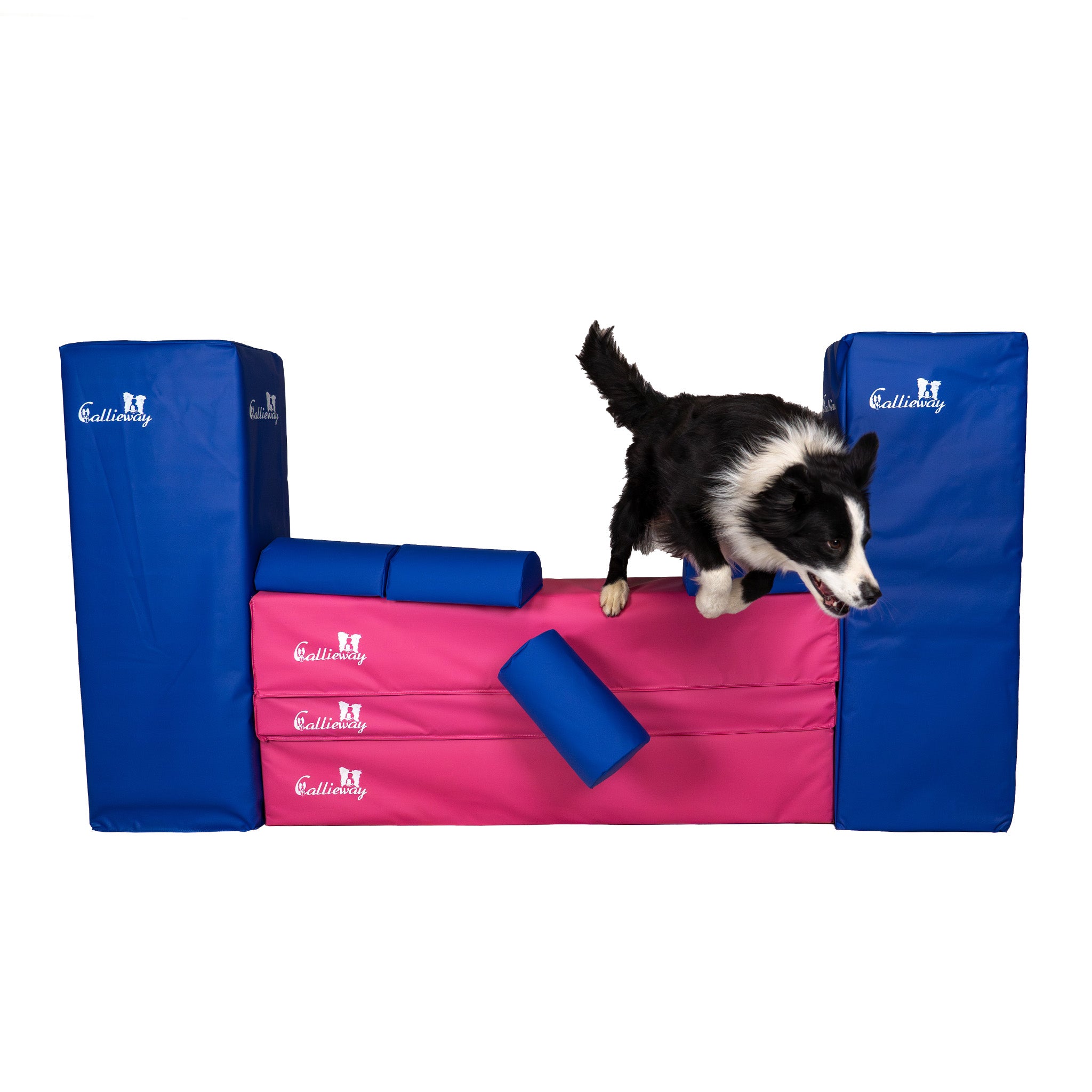 Hund springt über Callieway Bounce Over Soft Agility Mauer pink blau
