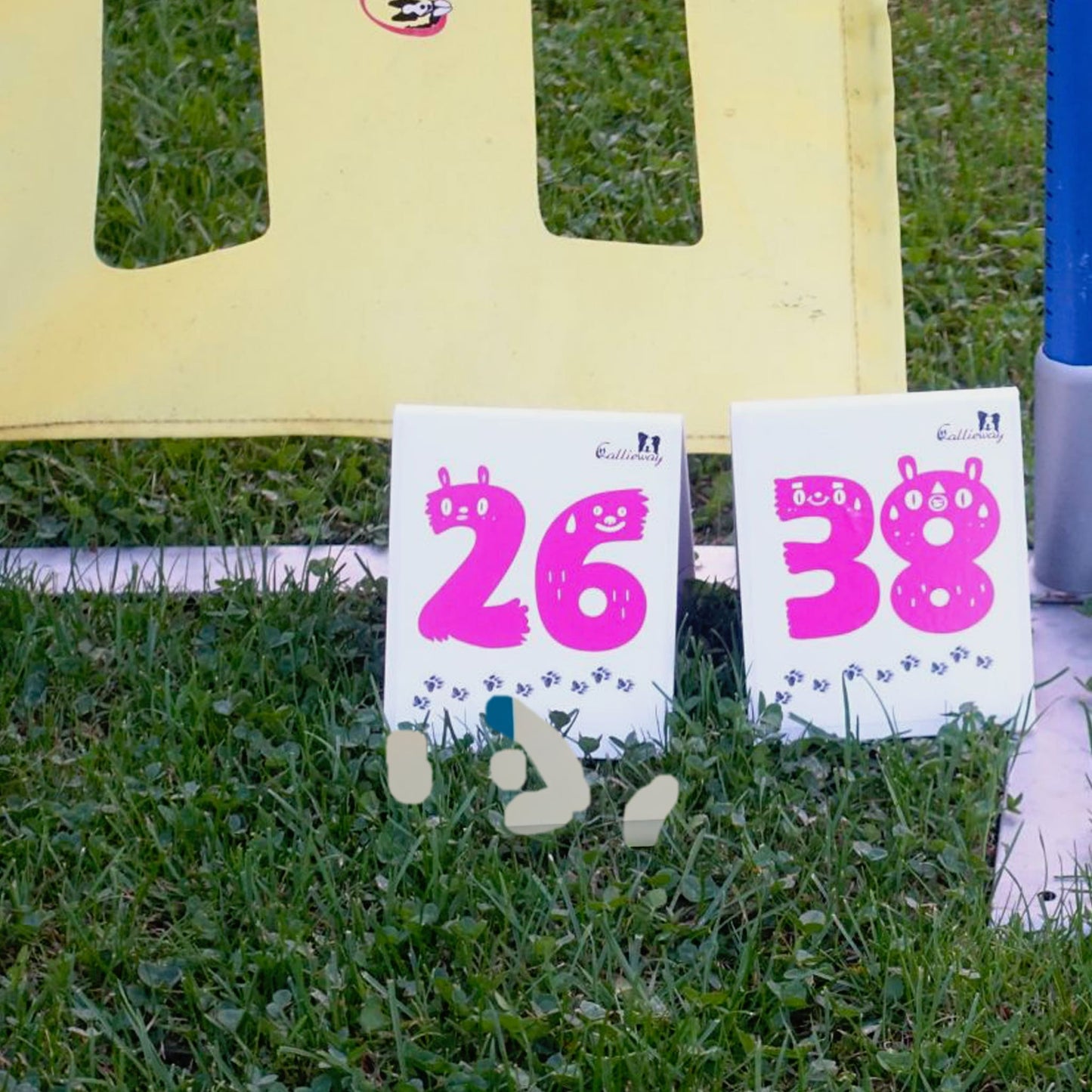 Callieway Parcoursnummern Karten für Hundesport Parcours