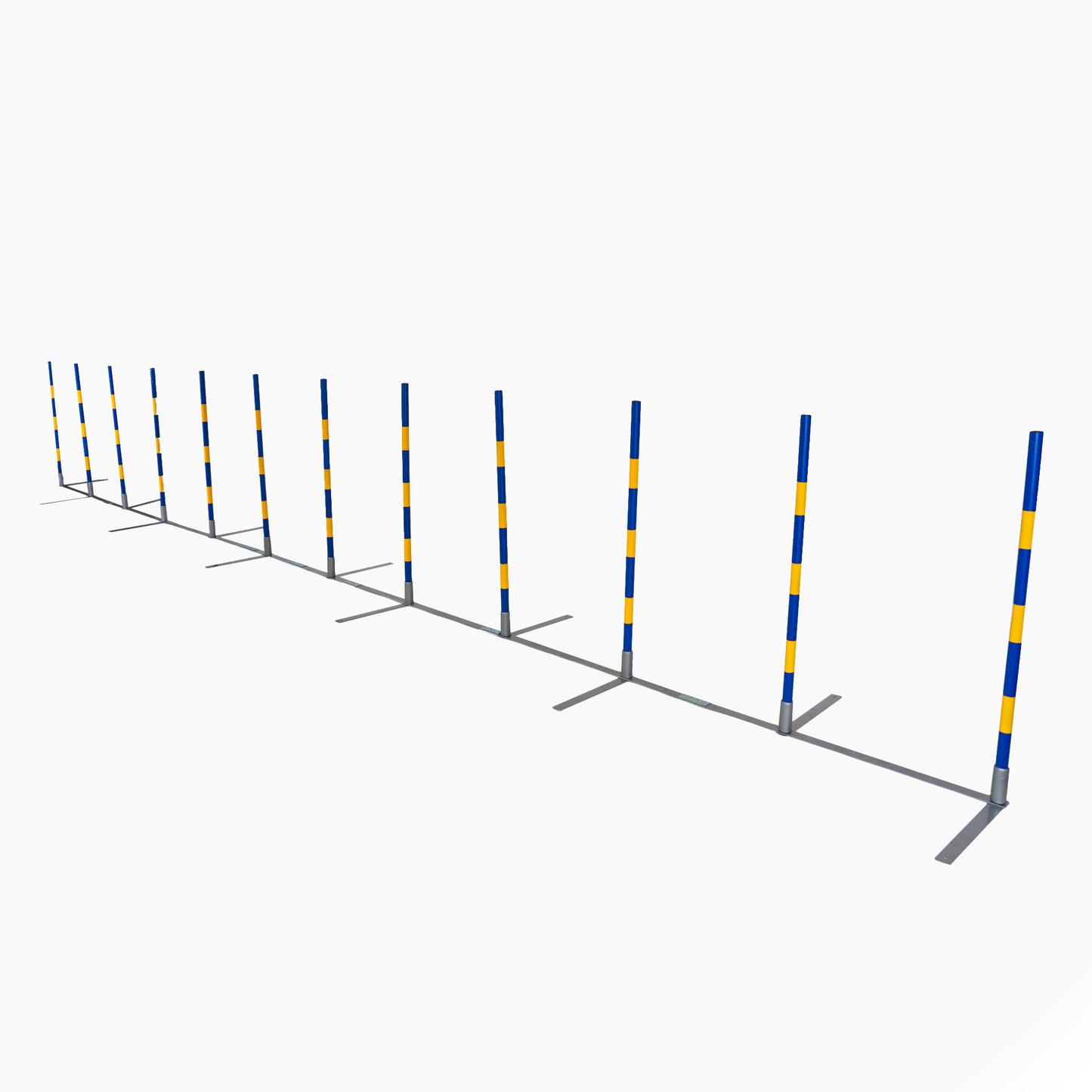 Callieway Agility Slalomstangen im Hundetraining aufgebaut 2by2