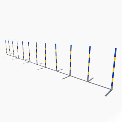 Callieway Agility Slalomstangen im Hundetraining aufgebaut 2by2