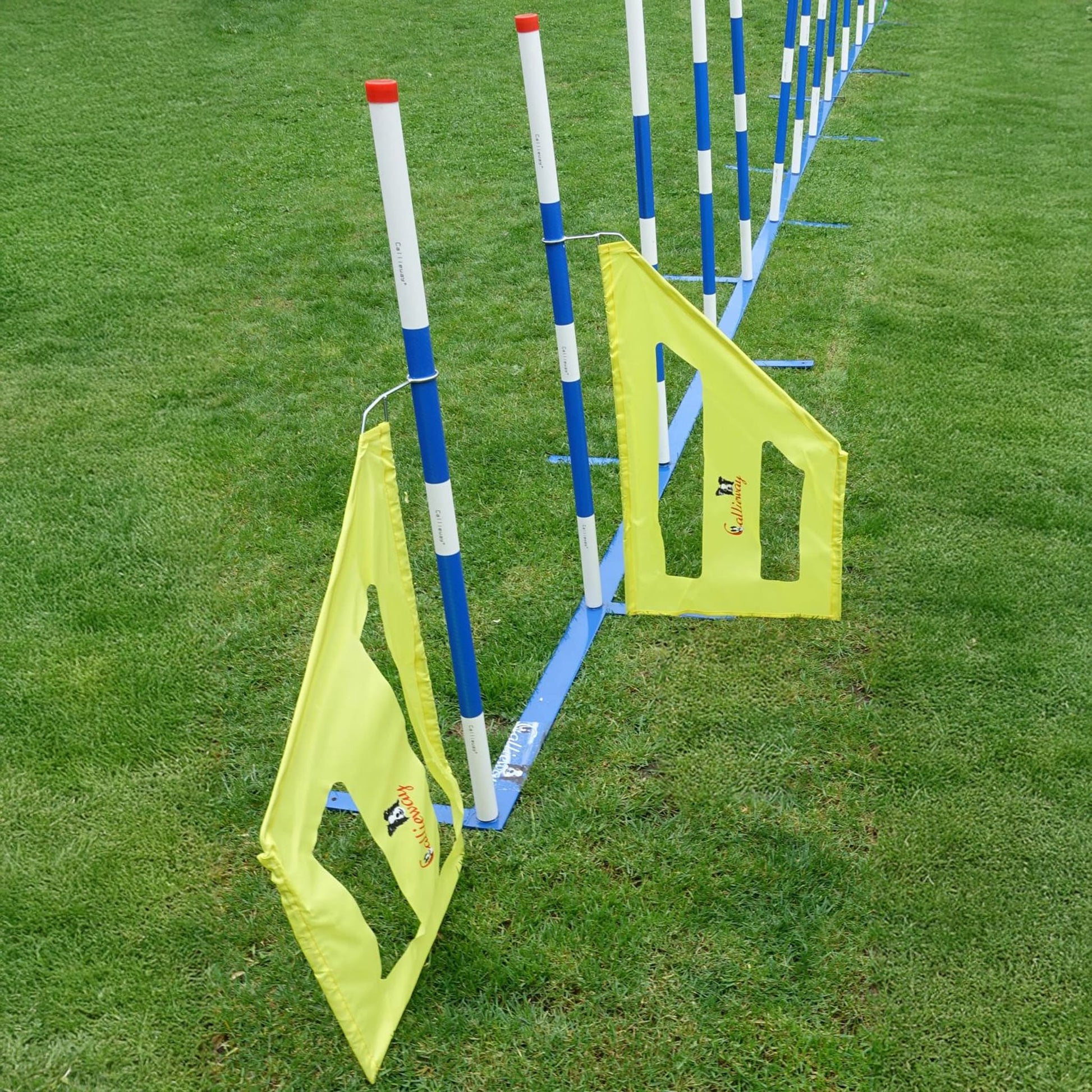 Callieway Slalom Trainingshilfe Gelb für Agility Hundetraining