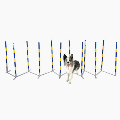 Agility Slalom „Agi Slalom 12x60cm Vario“ – FCI-konformer Trichterslalom & Gassenslalom