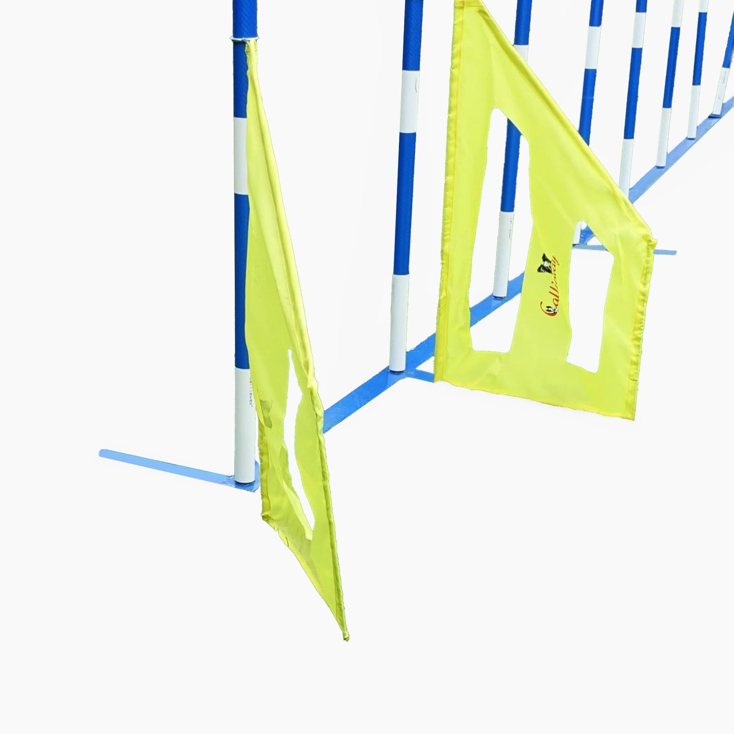 Agility Slalomwings – Die perfekte Einfädelhilfe für Slalomtraining