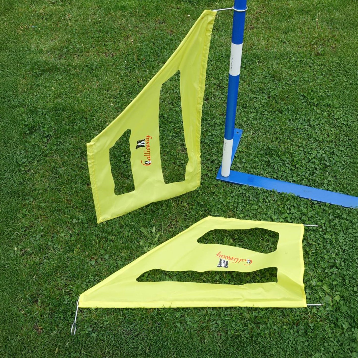 Agility Slalomwings – Die perfekte Einfädelhilfe für Slalomtraining