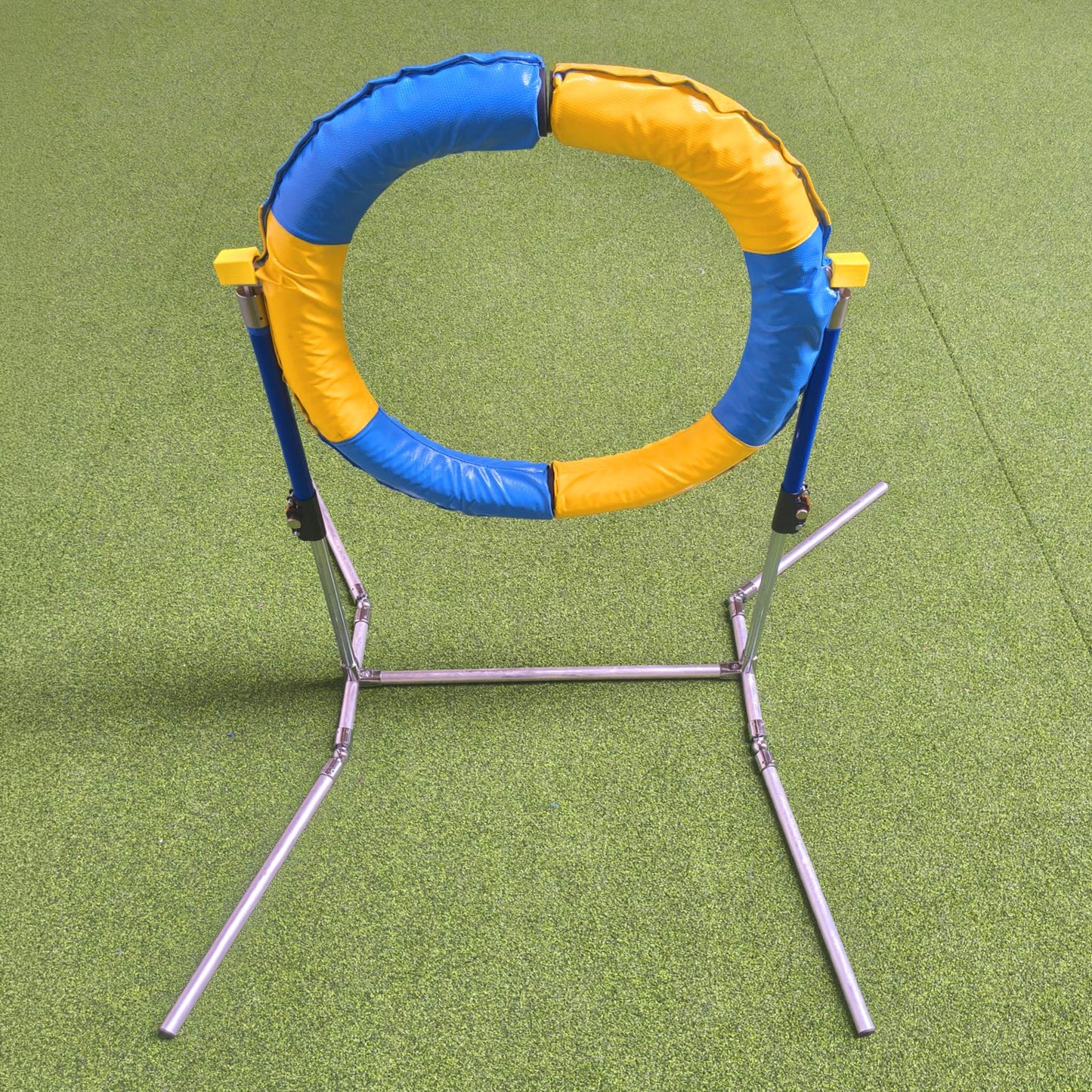 Callieway Agility Sprung Ring gelb blau aufgebaut auf Trainingswiese