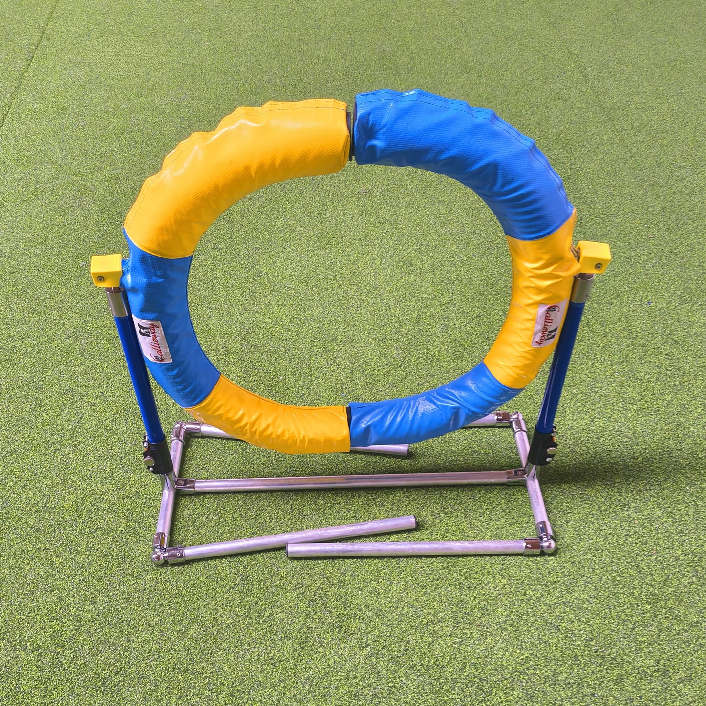 Frontansicht Callieway Agility Sprung Ring gelb blau