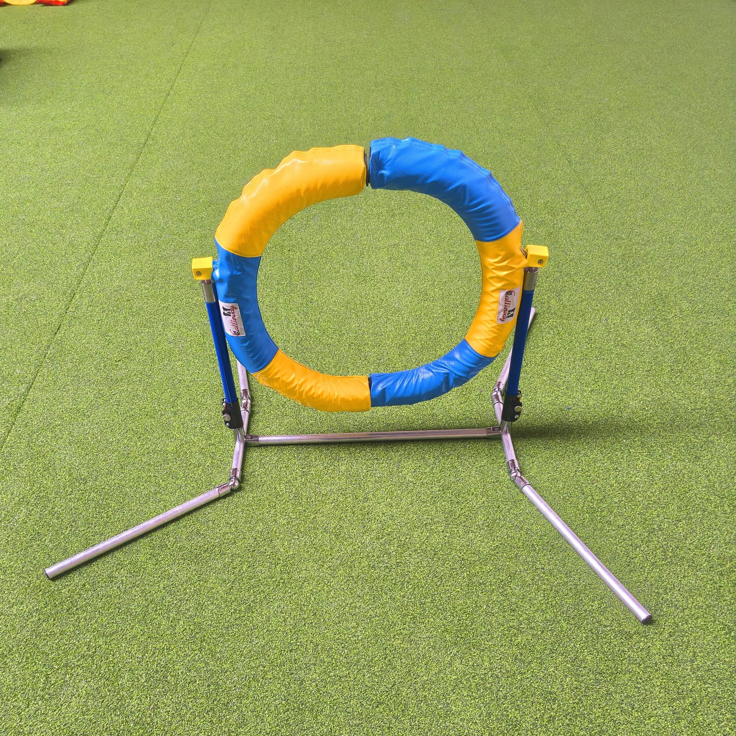 Callieway Agility Sprung Ring gelb blau im Parcours