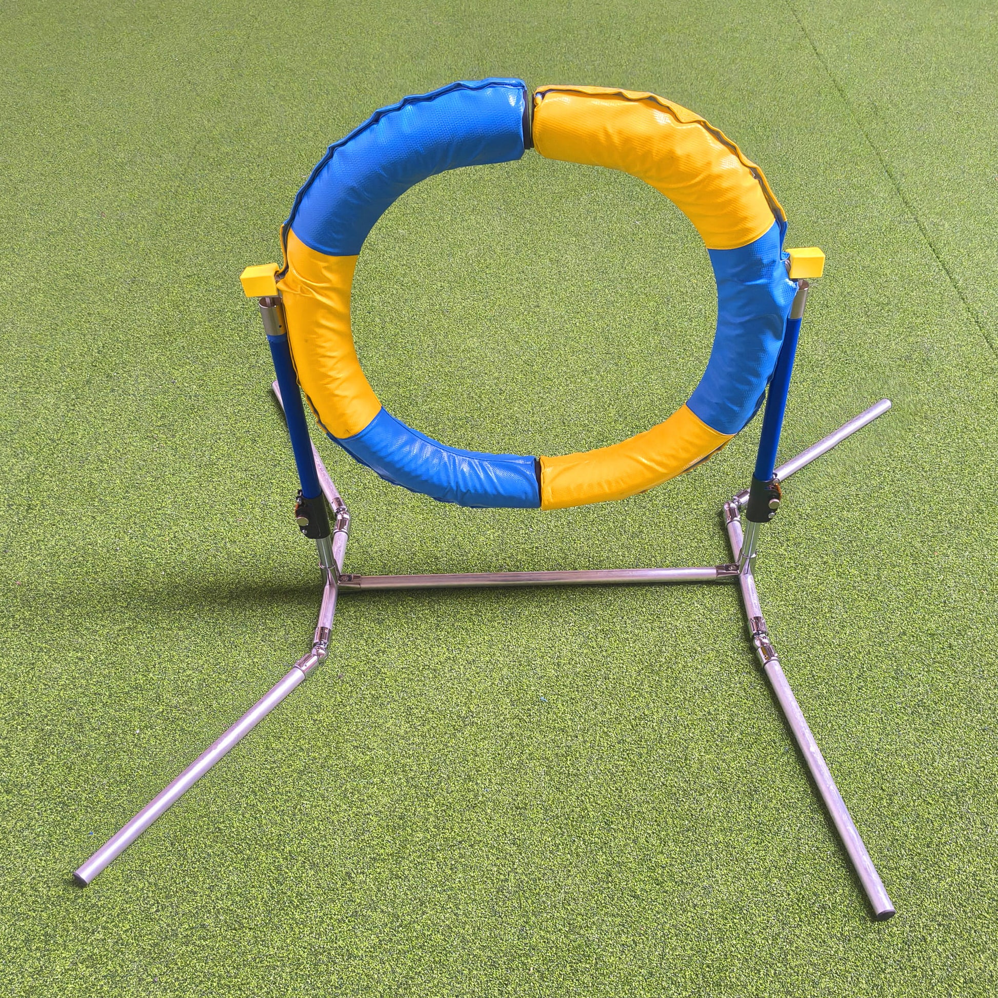 Callieway Agility Sprung Ring gelb blau beim Hundetraining