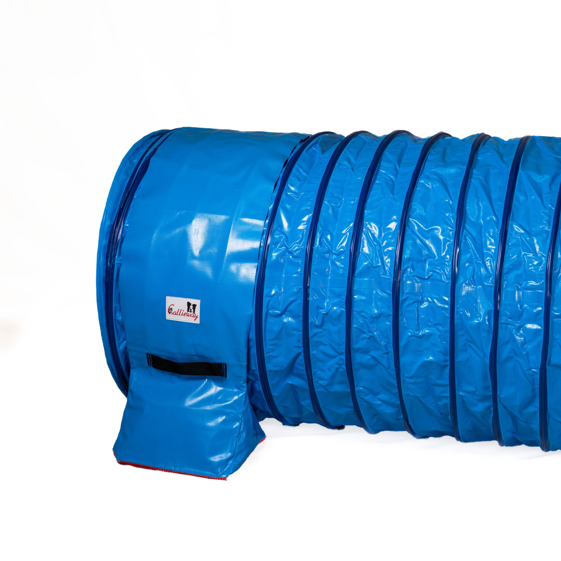 Eingang des Callieway Agility Hundetunnels Ø80 cm in Blau