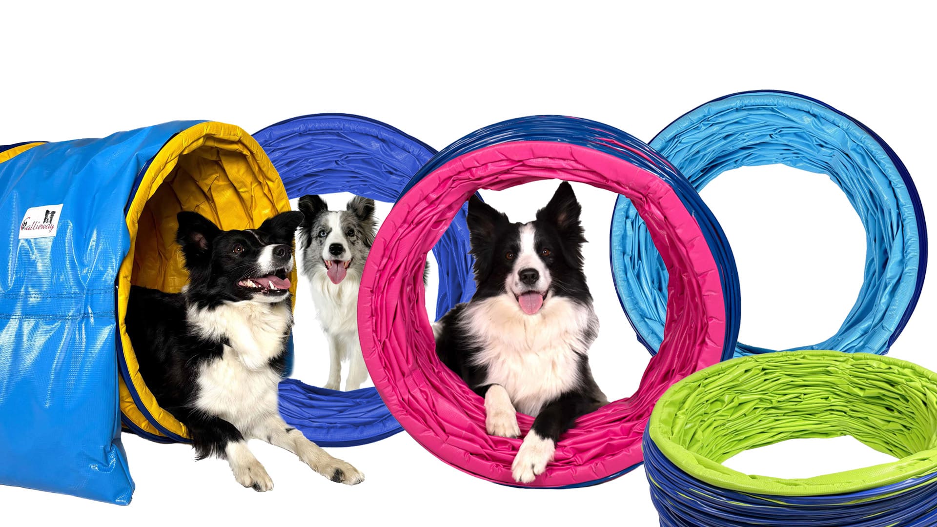 Callieway Agility Tunnel in verschiedenen Farben Übersicht