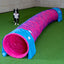 Dog Agility Tunnel – "Profi" 60cmØ