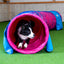 Dog Agility Tunnel – "Profi" 60cmØ