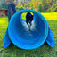 Dog Agility Tunnel – "Profi" 60cmØ