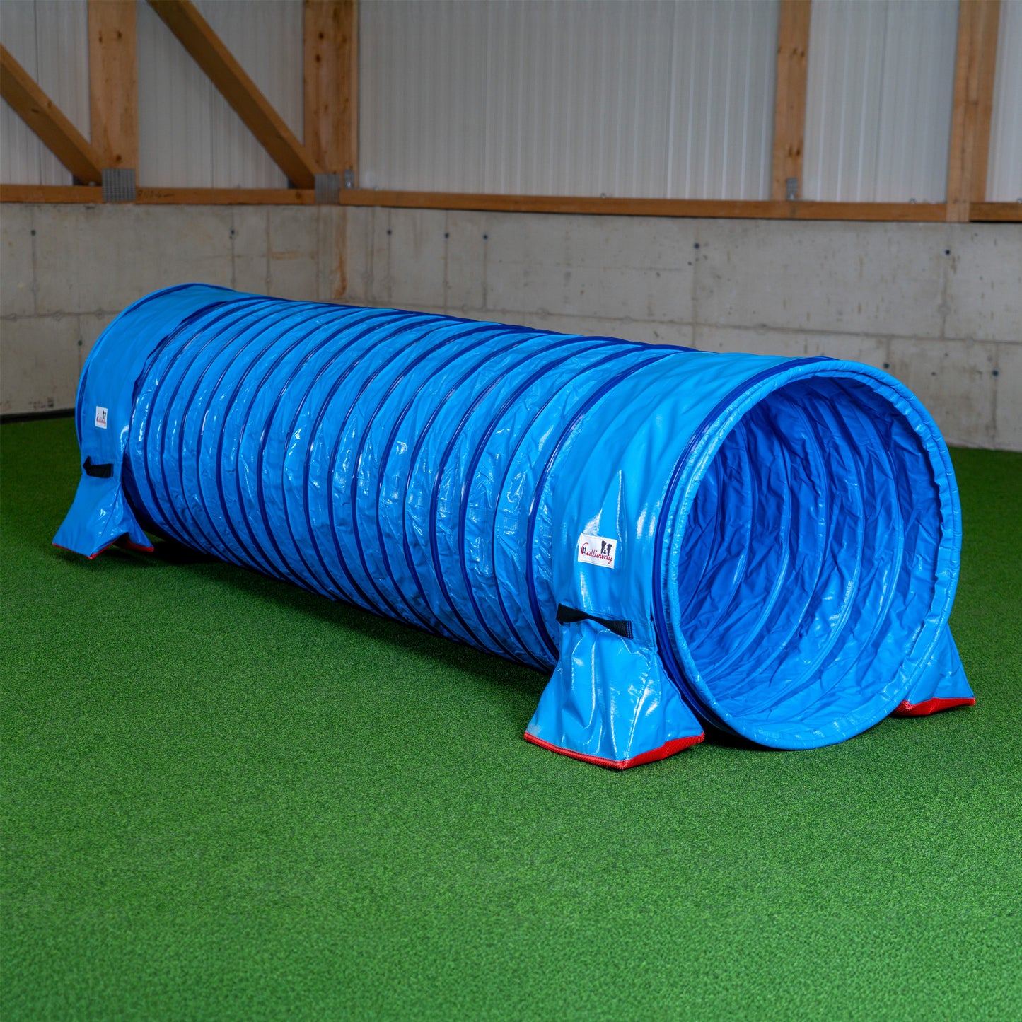 Callieway Agility Tunnel blau auf Wiese aufgebaut