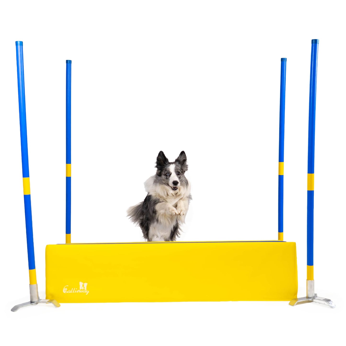 Agility SOFT-Weitsprung „SOSPIRI“ | FCI-konform, (optional inkl. 4x Eckpfosten + Stangen) & Tasche
