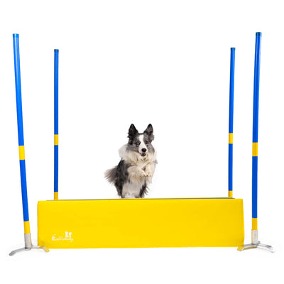 Agility SOFT-Weitsprung „SOSPIRI“ | FCI-konform, (optional inkl. 4x Eckpfosten + Stangen) & Tasche