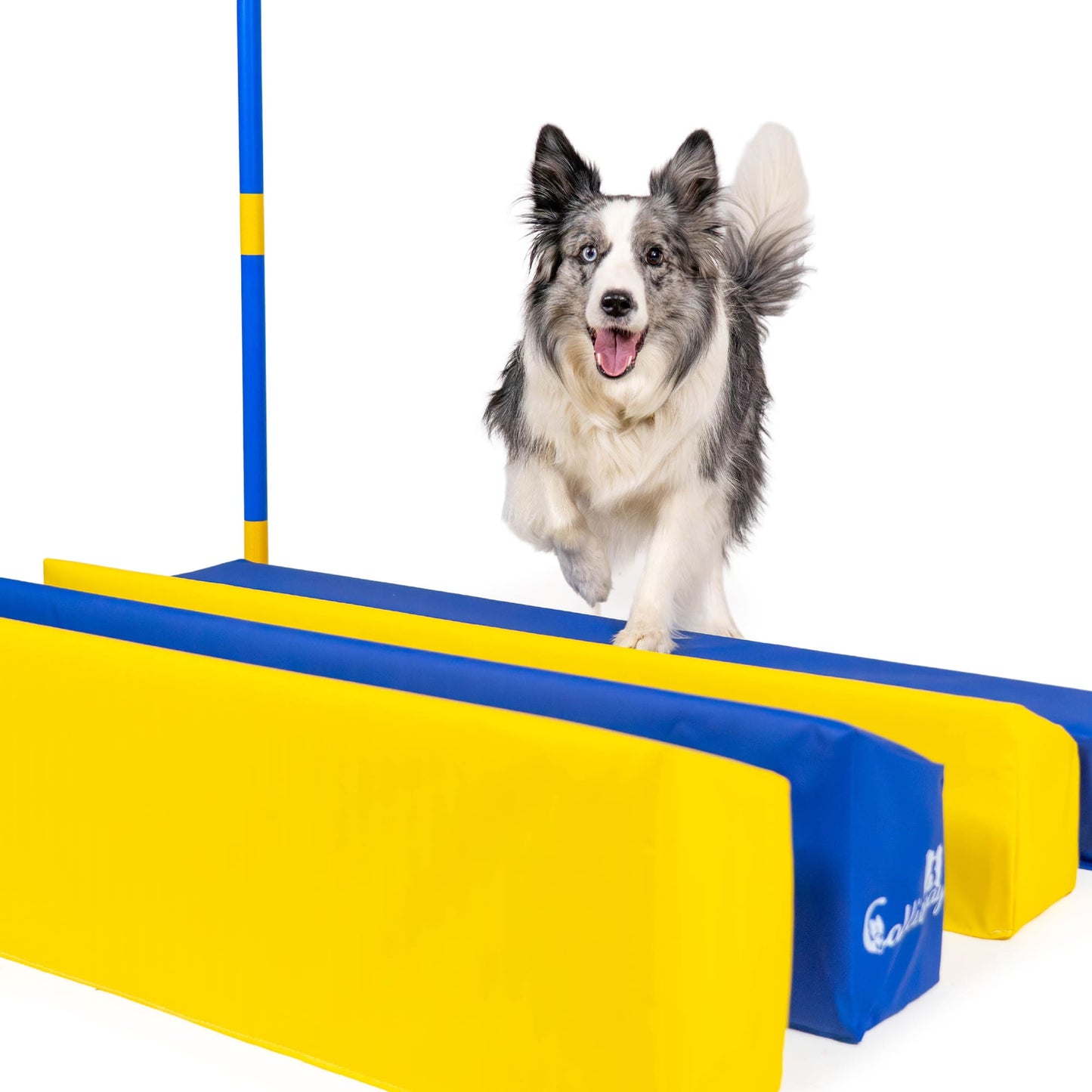Agility SOFT-Weitsprung „SOSPIRI“ | FCI-konform, (optional inkl. 4x Eckpfosten + Stangen) & Tasche