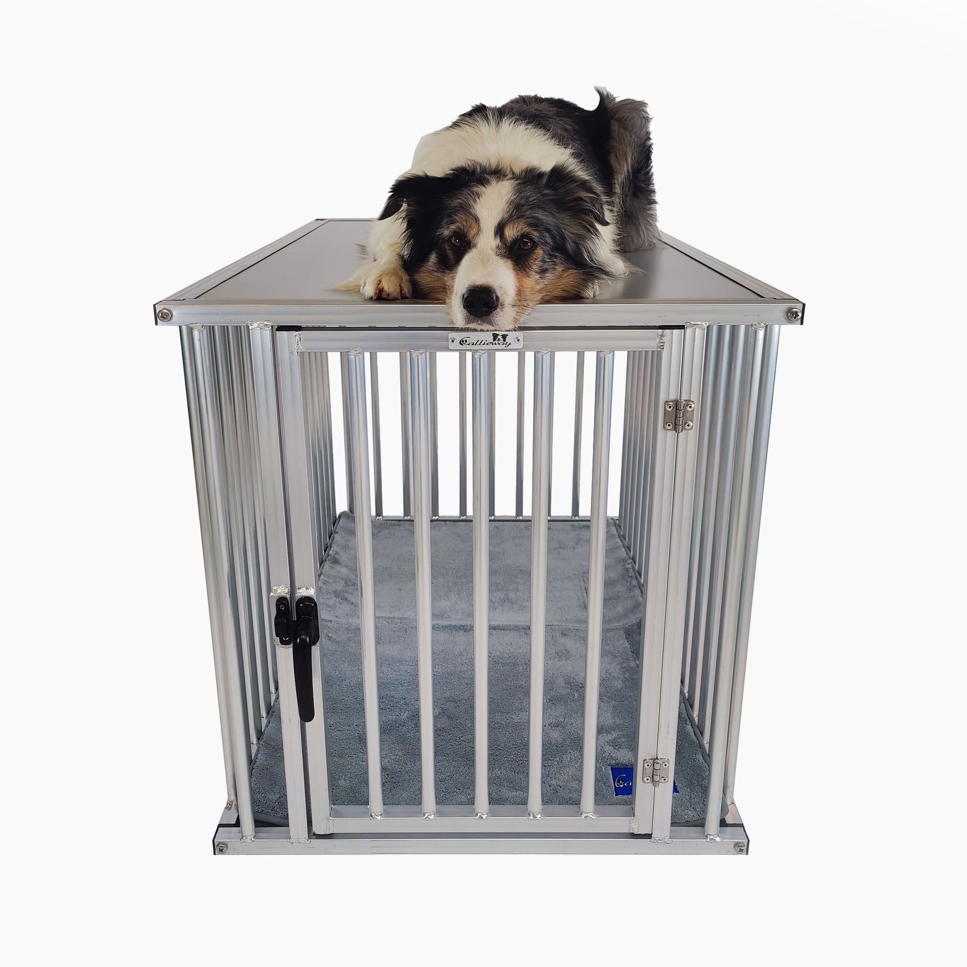 Callieway Aluminium Hundekäfig XXL für große Hunde