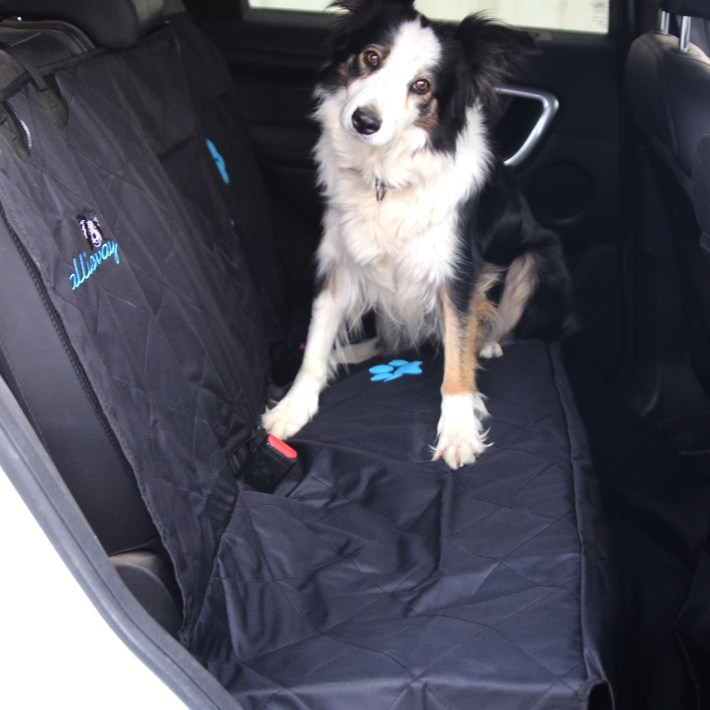 Callieway Auto Hundedecke Rückbank Schwarz