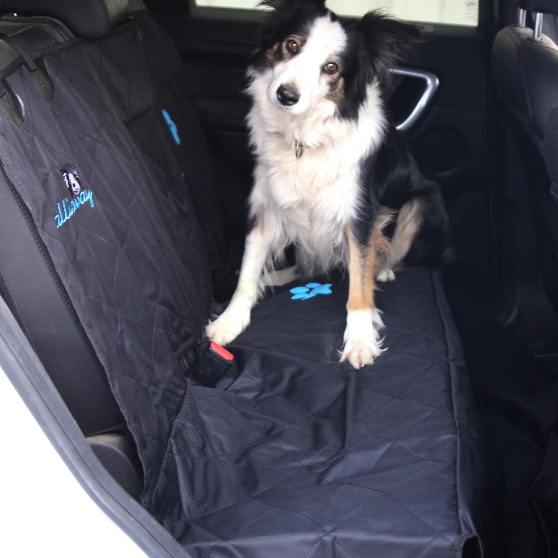 Callieway Auto Hundedecke Rückbank Schwarz