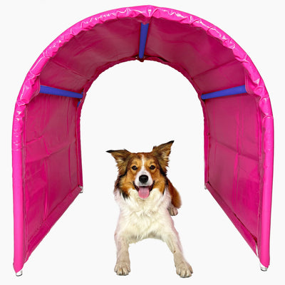 Hund läuft durch Callieway BOLO bodenlosen Hoopers Tunnel