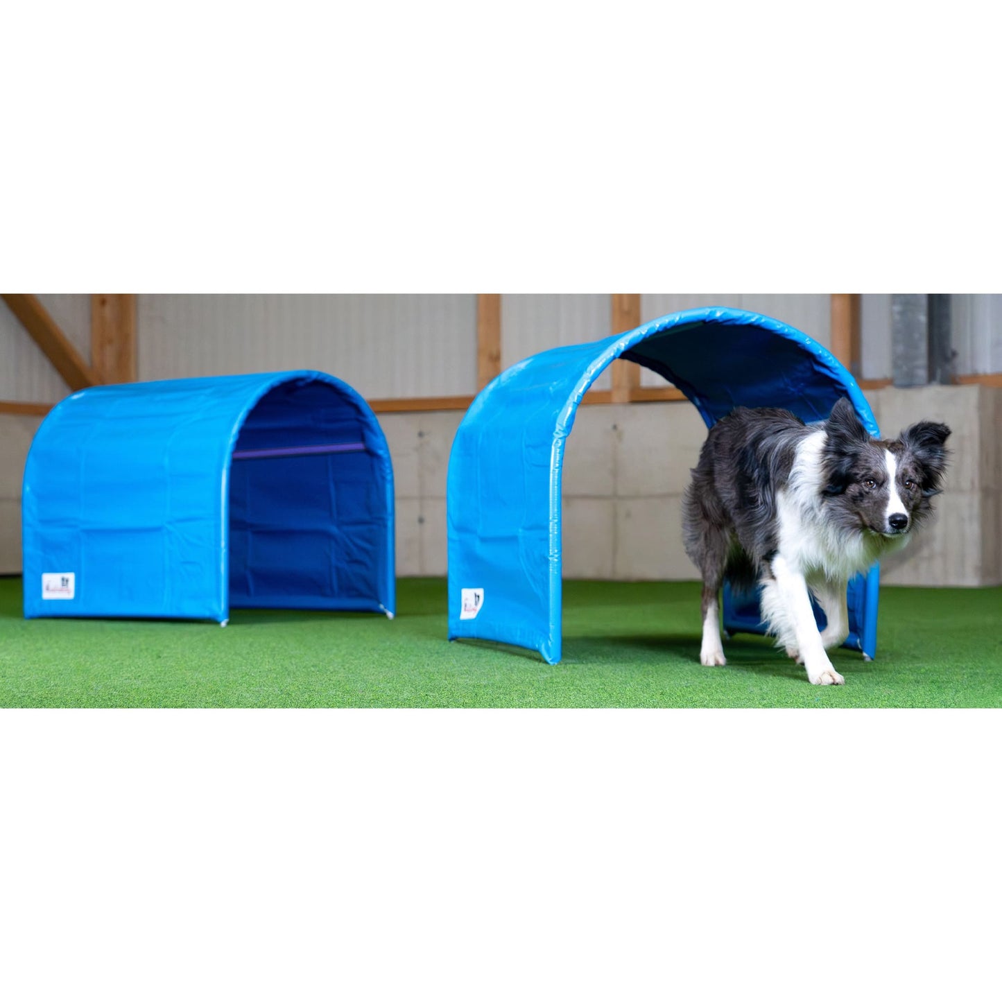 Callieway BOLO bodenloser Hoopers Tunnel blau auf Trainingsplatz