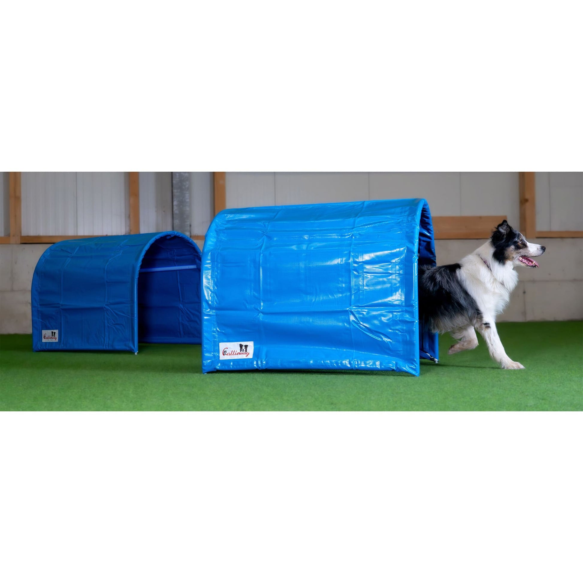 Callieway BOLO bodenloser Hoopers Tunnel blau 80 cm