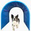 Callieway_BOLO_Hoopers_Tunnel_blue_wiese