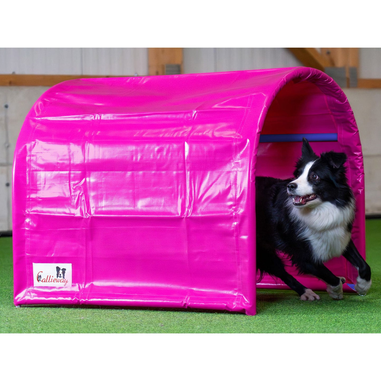 Eingang des Callieway BOLO bodenlosen Hoopers Tunnels