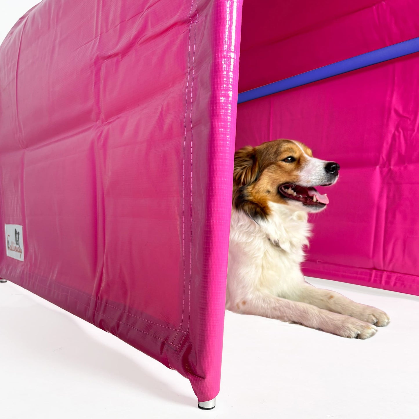 Innenansicht Callieway BOLO bodenloser Hoopers Tunnel