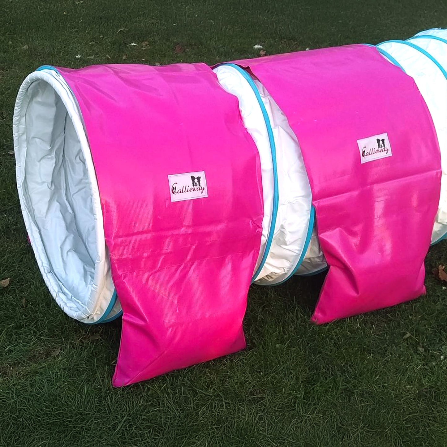Callieway Basic Tunnelgewicht Fuchsia für Hundesport Agility Tunnel