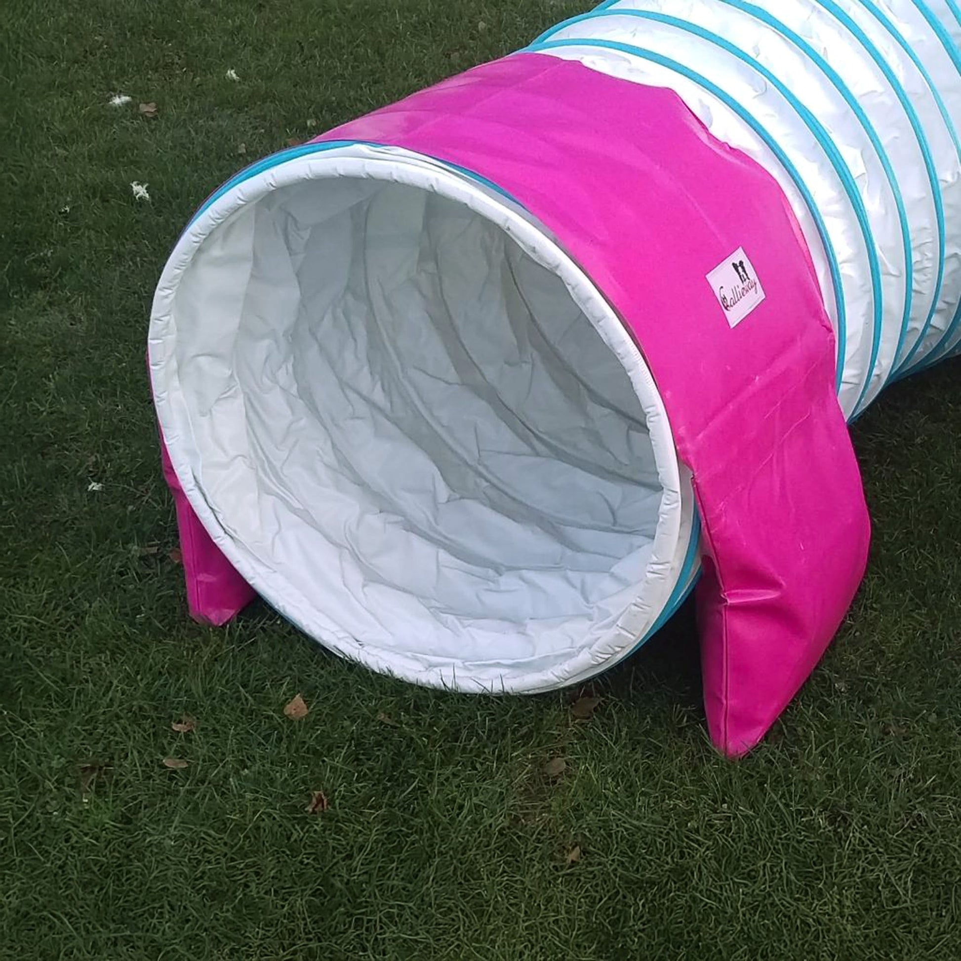 Zwei Callieway Basic Tunnelgewichte Fuchsia stabilisieren einen Agility Tunnel
